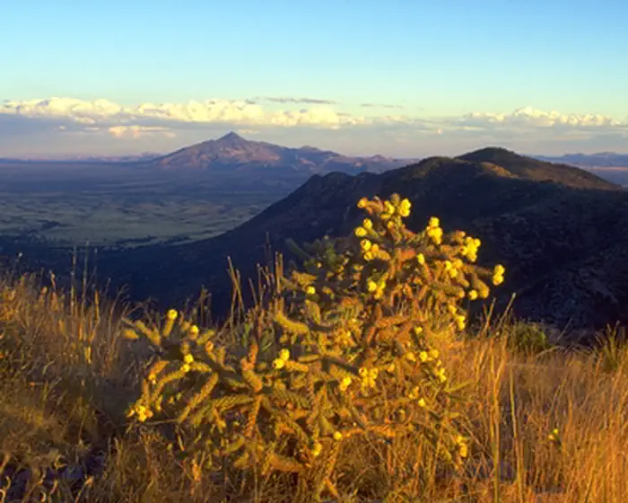 Coronado National Memorial — View from Montezuma Pass at sunset