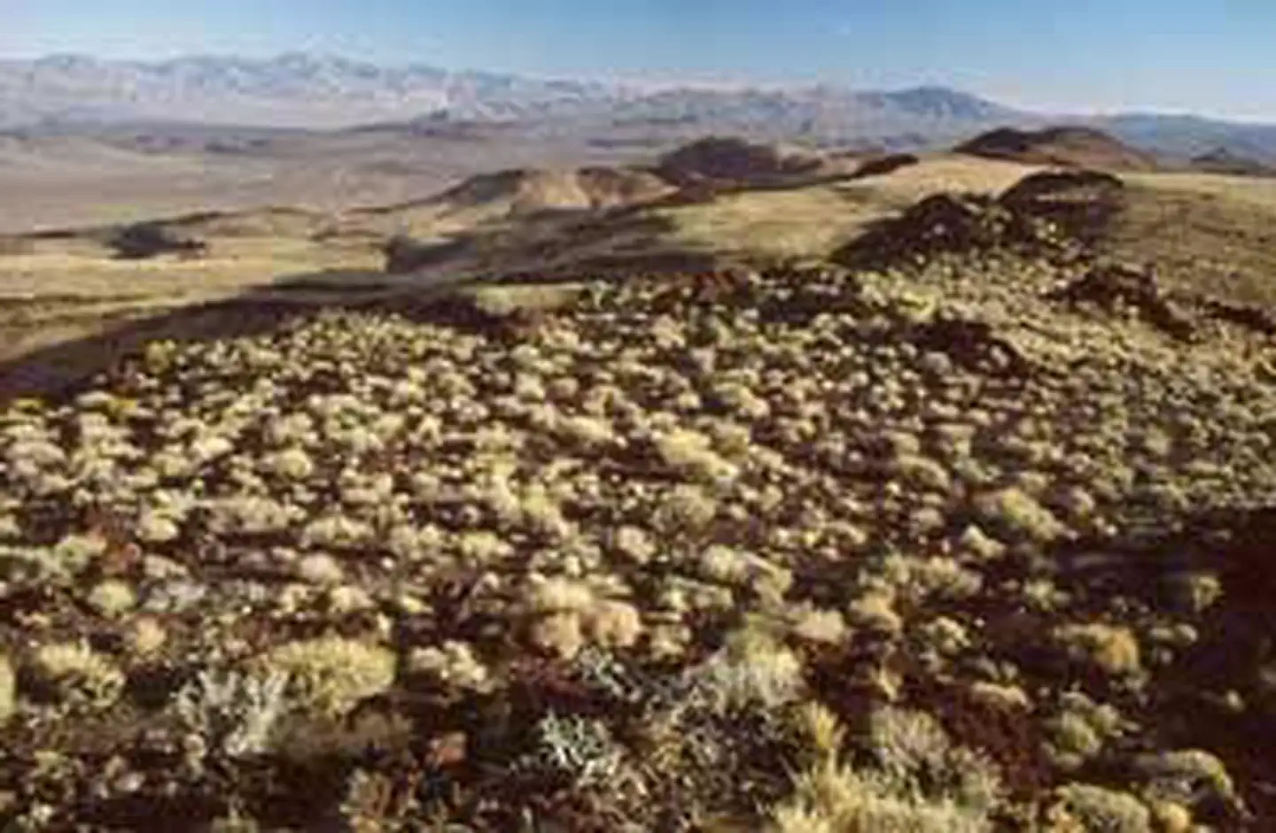 Malpais Mesa Wilderness