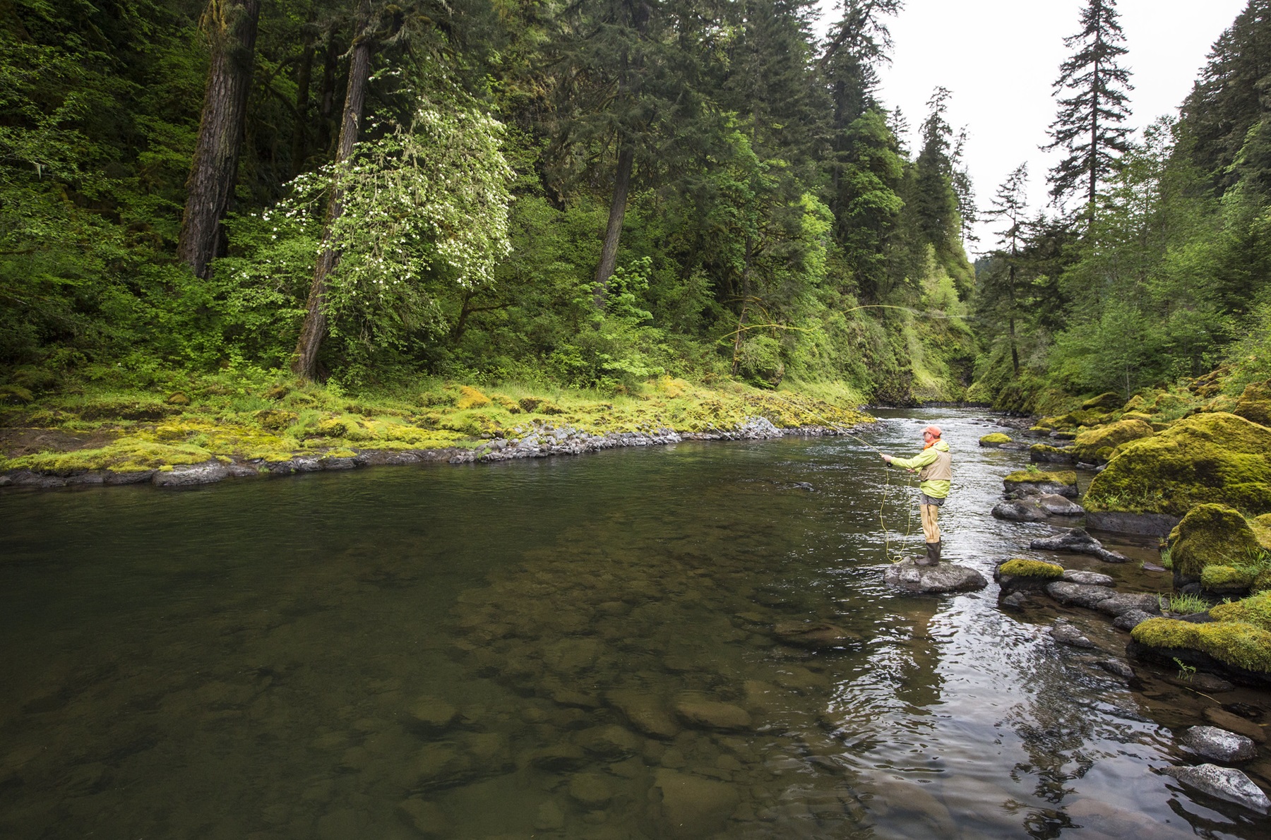 Molalla