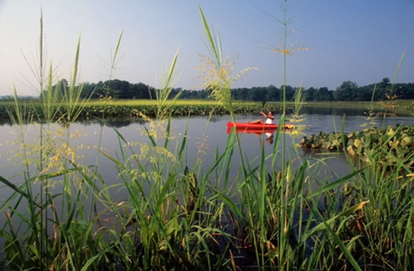 Captain John Smith Chesapeake National Historic Trail — Kayaker at Jug Bay