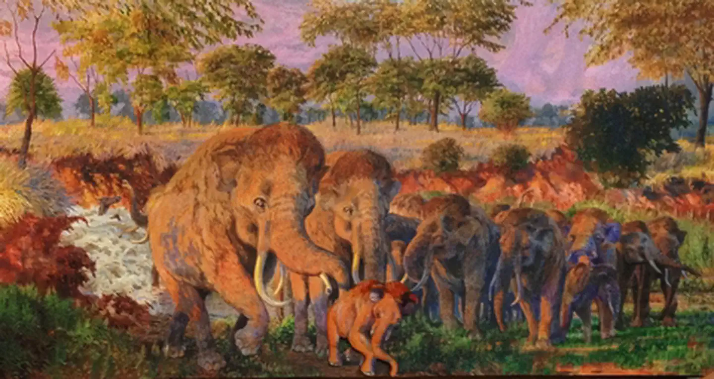 Waco Mammoth National Monument