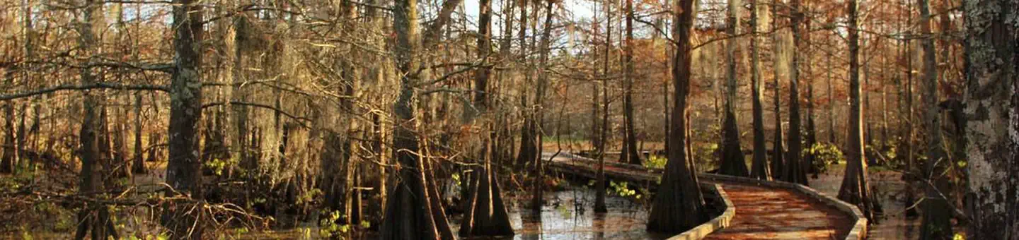Bogue Chitto National Wildlife Refuge