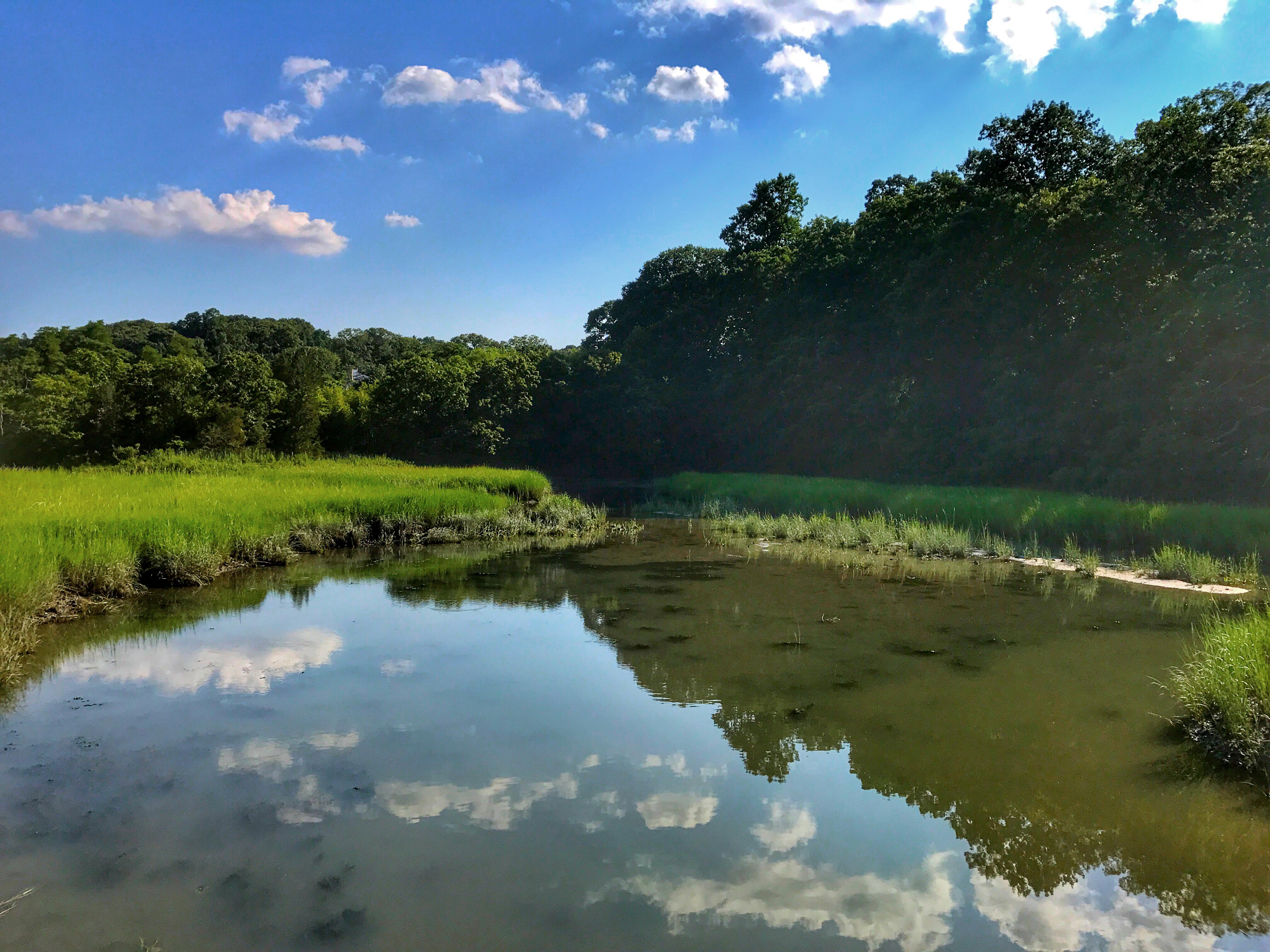 Sagamore Hill National Historic Site — Eel Creek