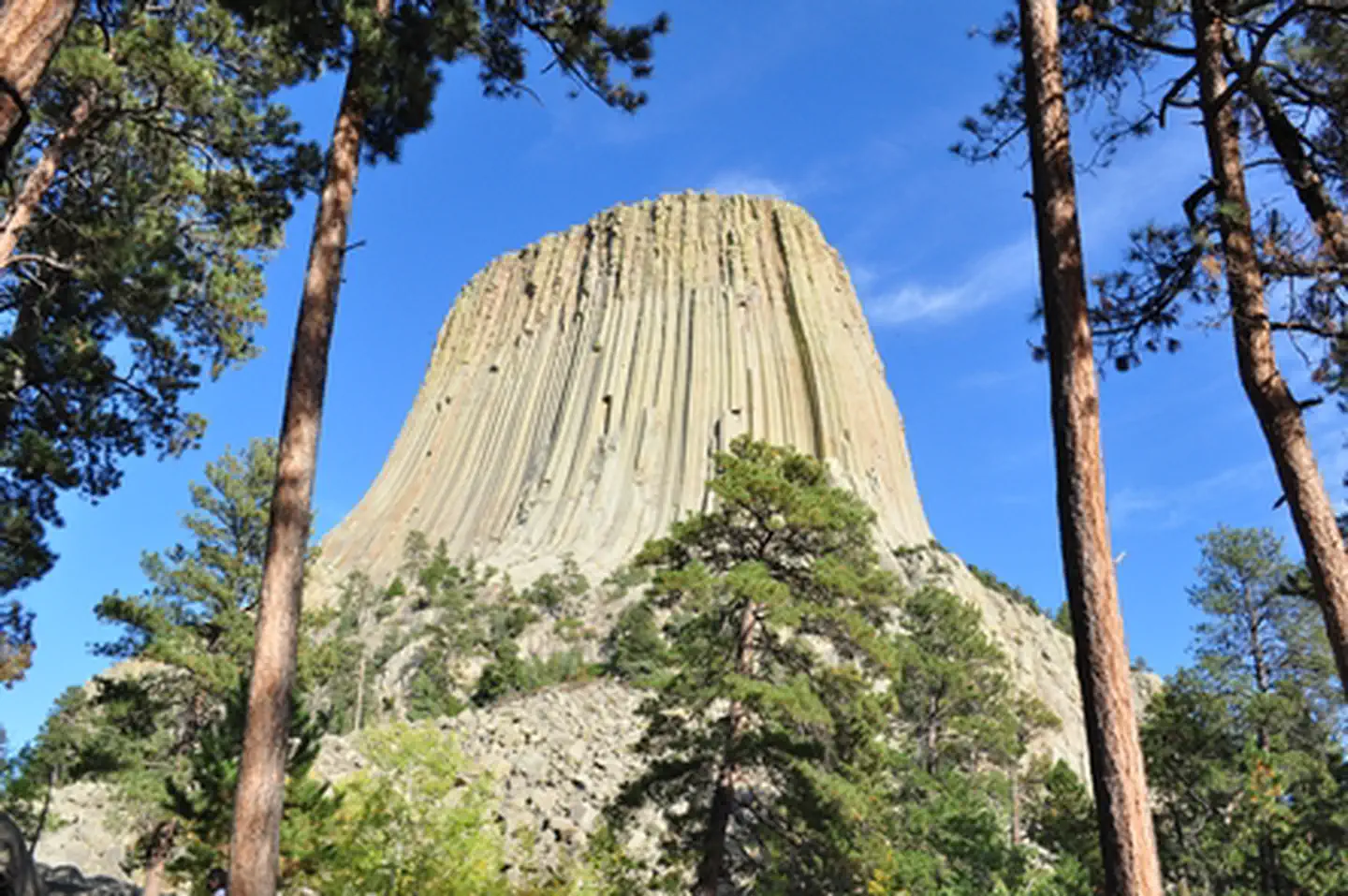 Devils Tower National Monument — Devils Tower looming above the trees