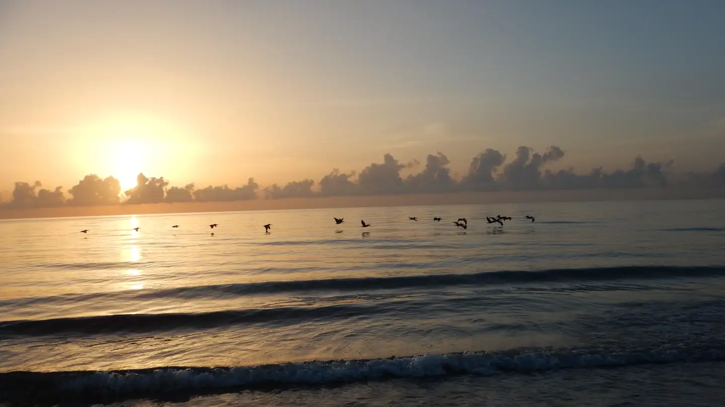 Nathaniel P. Reed Hobe Sound National Wildlife Refuge