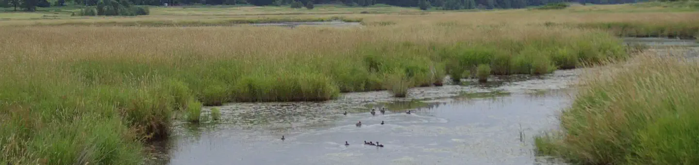 Steigerwald Lake National Wildlife Refuge