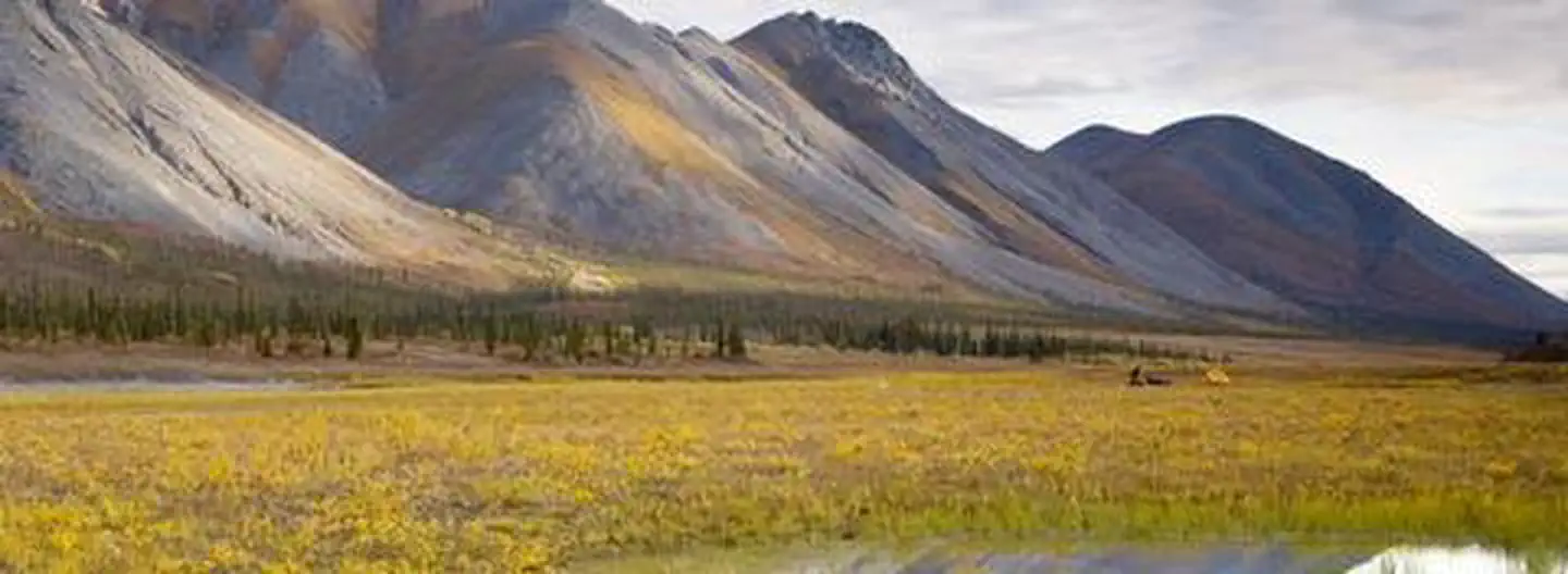 Arctic National Wildlife Refuge