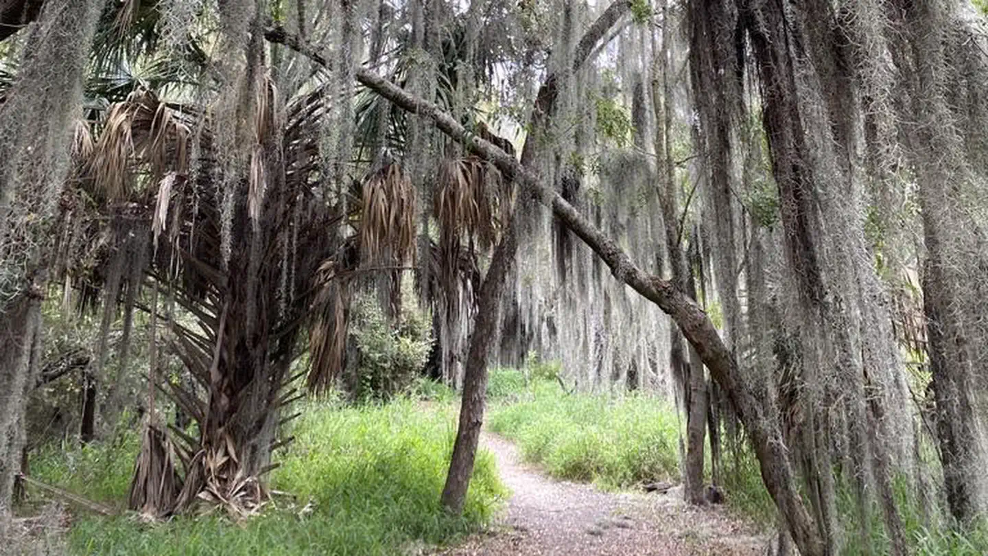 Santa Ana National Wildlife Refuge