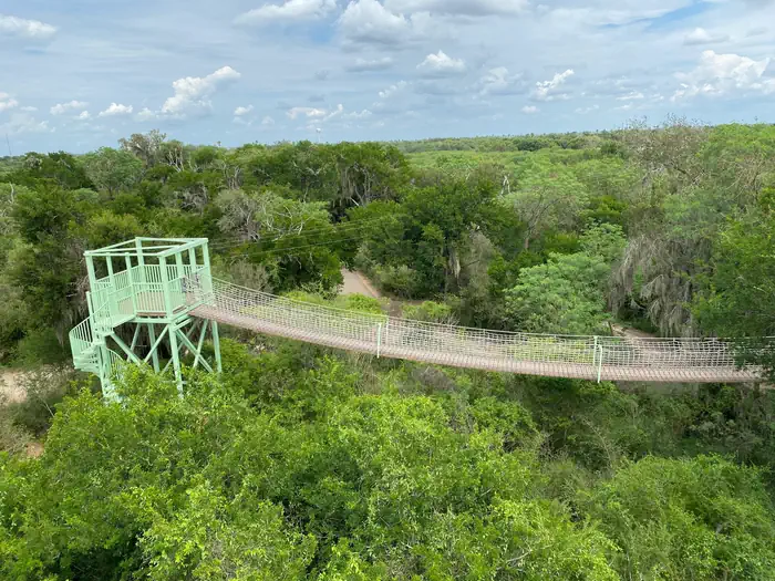 Santa Ana National Wildlife Refuge — A skyline view of a green wooded area with a suspended walking bridge at tree level connecting to a high rise platform 