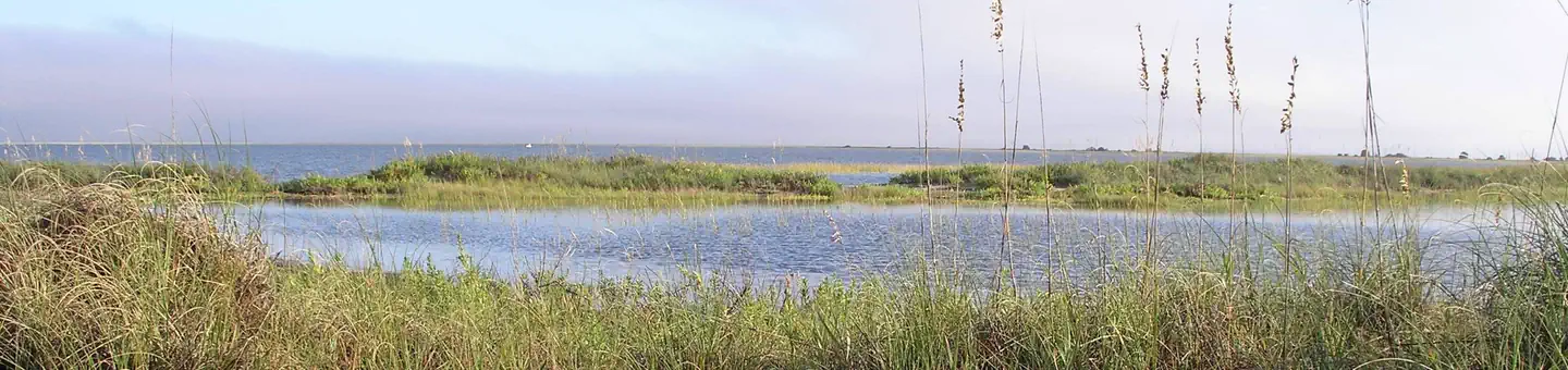 Cape Romain National Wildlife Refuge