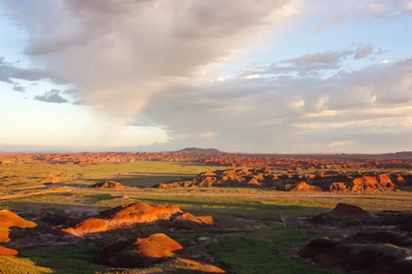 Petrified Forest National Park — Petrified Forest National Wilderness Area