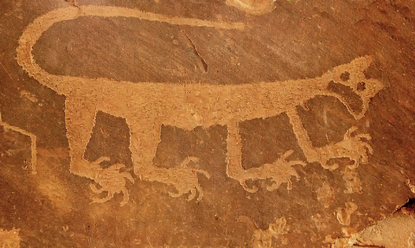 Petrified Forest National Park — Mountain Lion Petroglyph