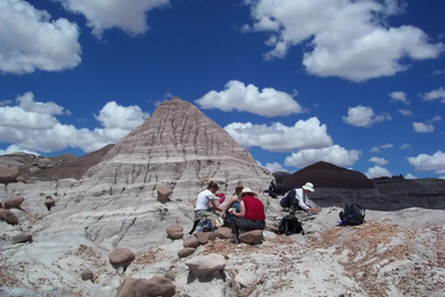 Petrified Forest National Park — Paleontological Excavation