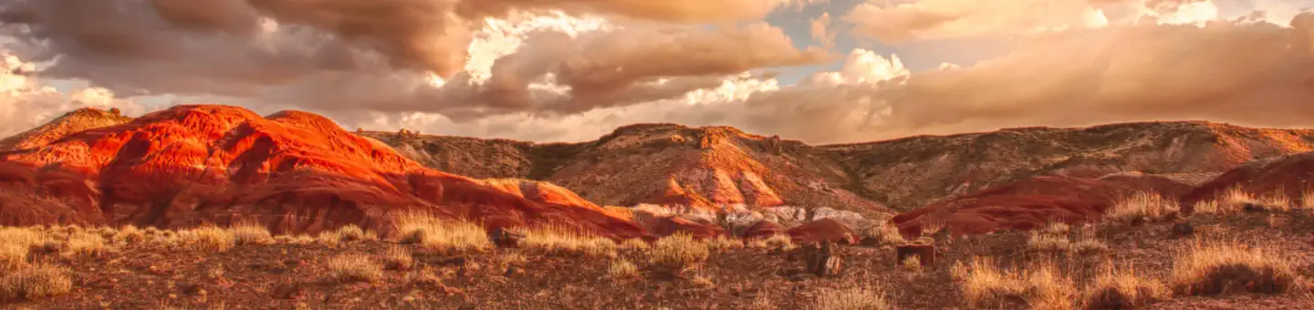 Petrified Forest National Park