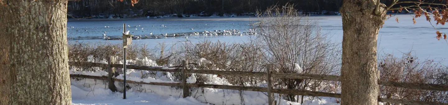 Wertheim National Wildlife Refuge