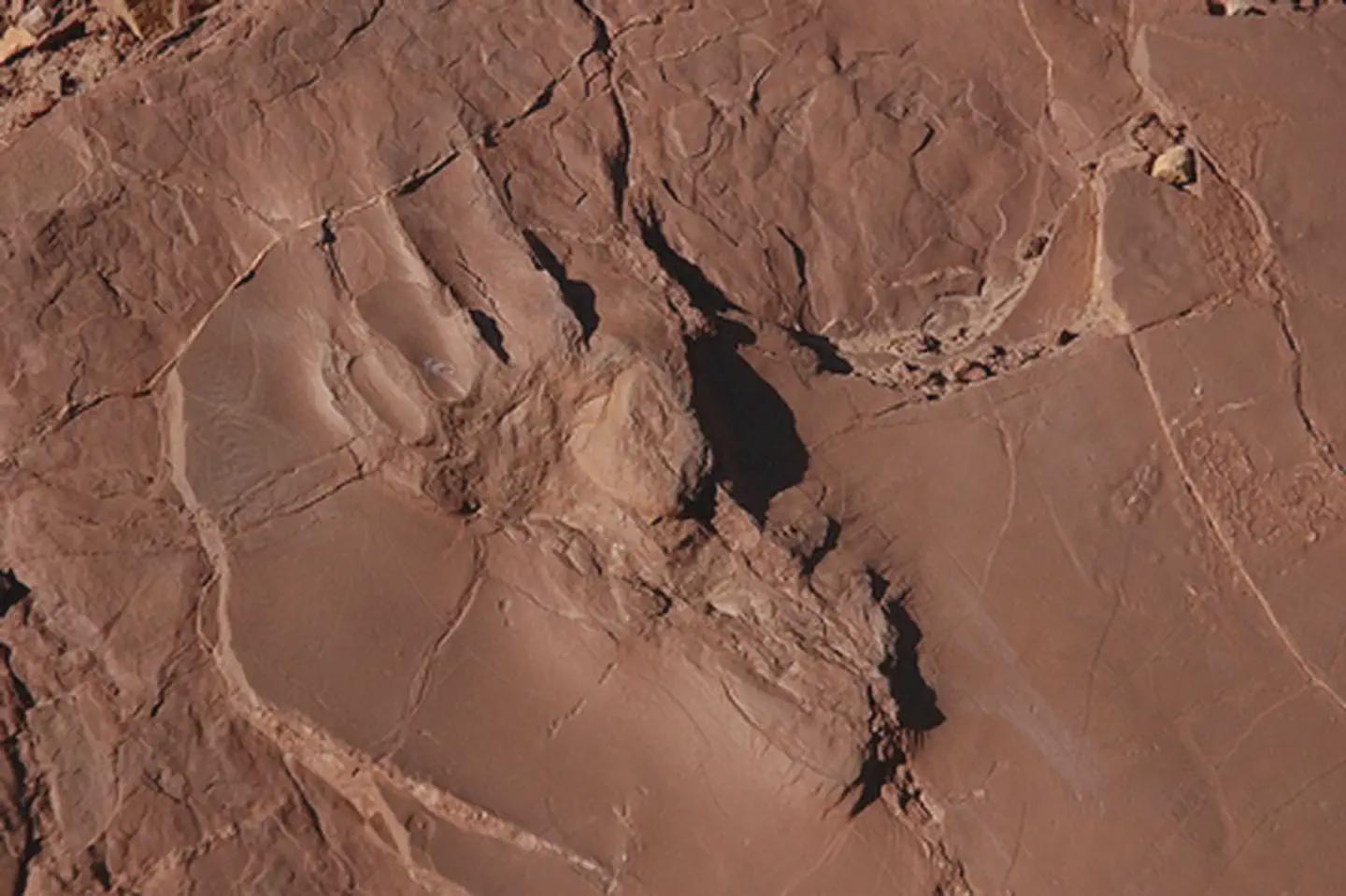 Prehistoric Trackways  National Monument