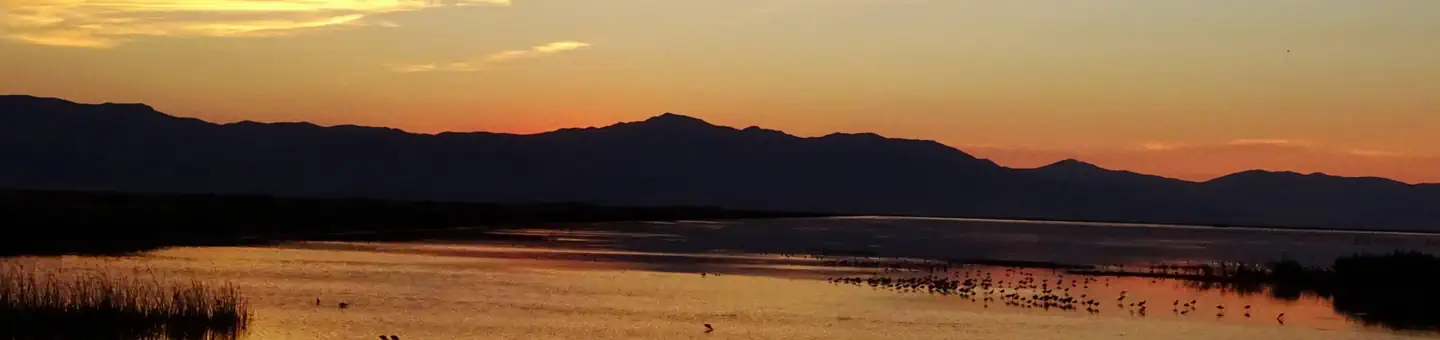 Bear River Migratory Bird Refuge