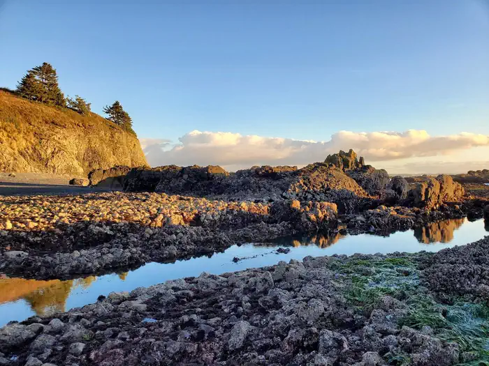 Yaquina Head Outstanding Natural Area — A pool of water and gray rocks against a sunny cliff.