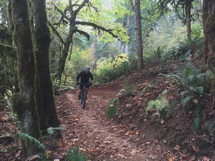 Carpenter Bypass Trail System