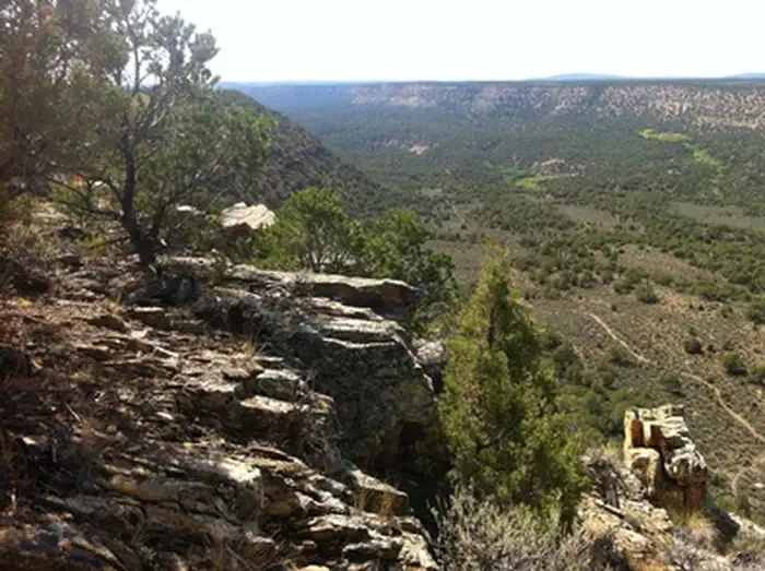 Lower Spring Creek Trail