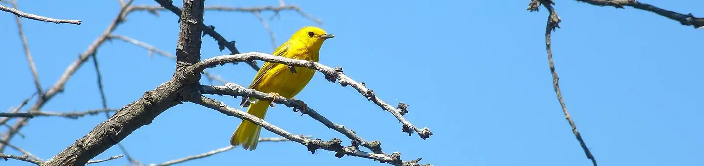 Audubon National Wildlife Refuge