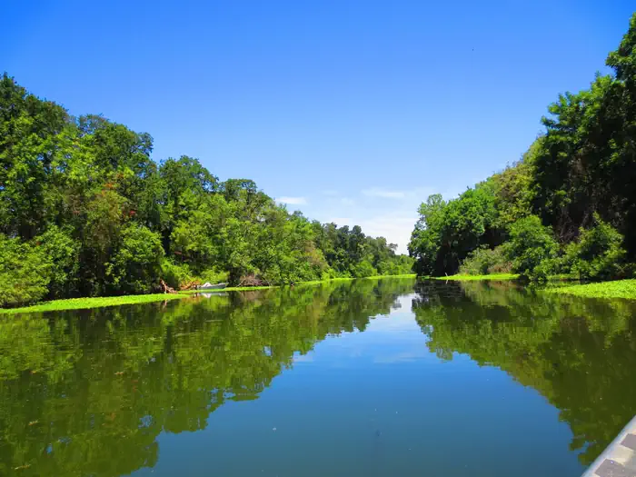 Sacramento River National Wildlife Refuge — Sacramento River National Wildlife Refuge