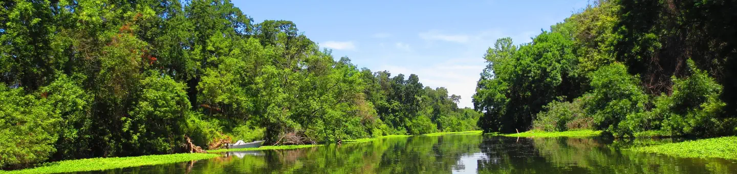 Sacramento River National Wildlife Refuge