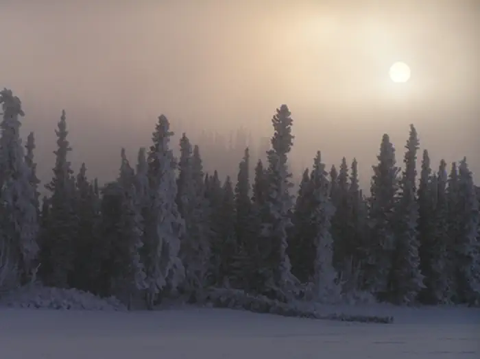 Lake Clark National Park & Preserve — Boreal Forest