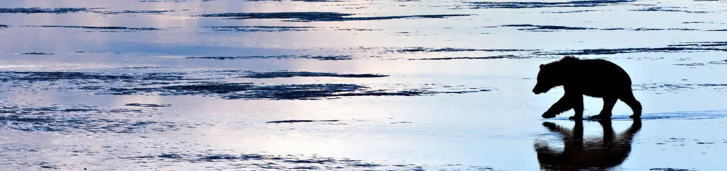 Lake Clark National Park & Preserve