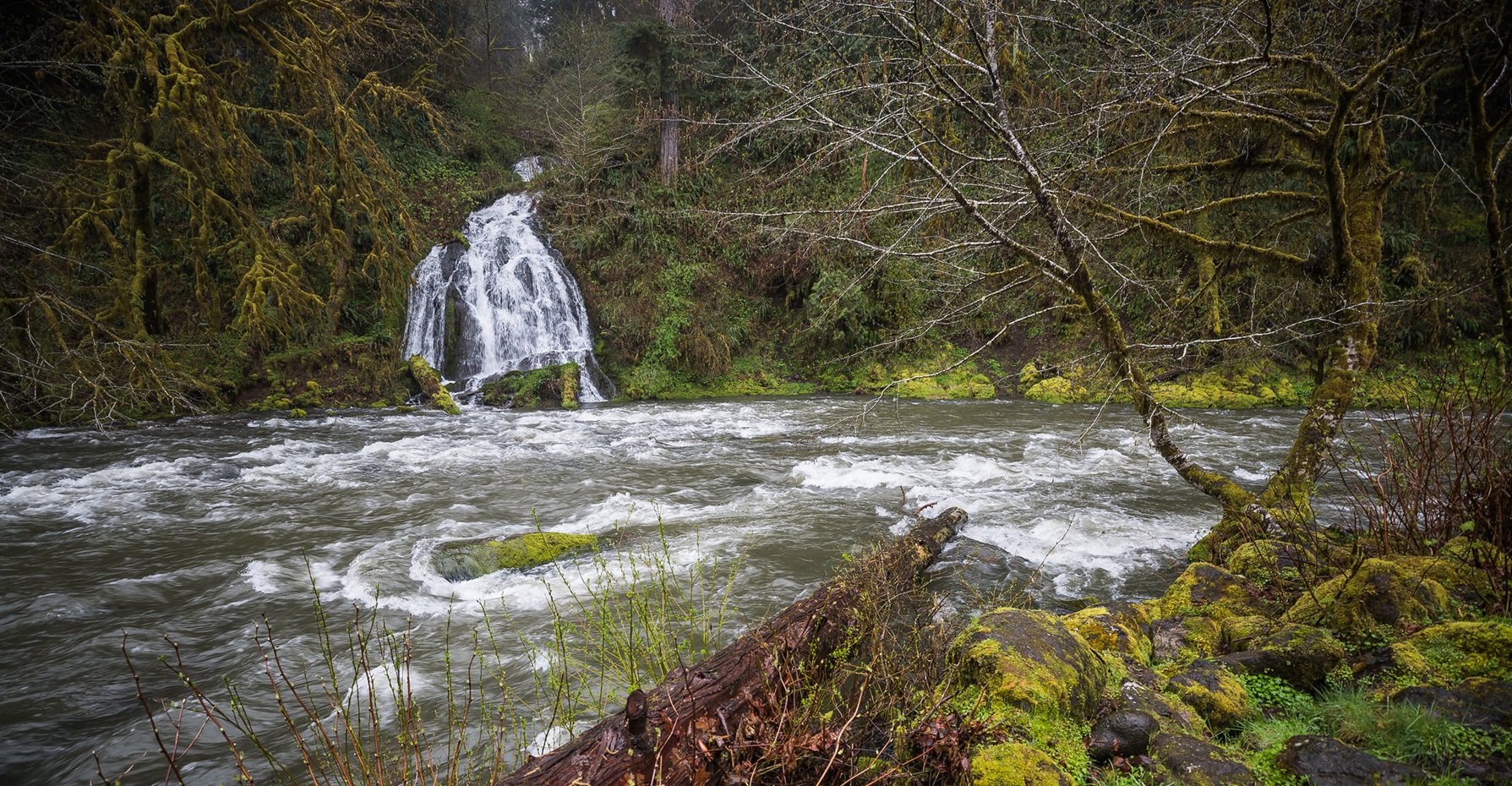 Nestucca River Recreation Area