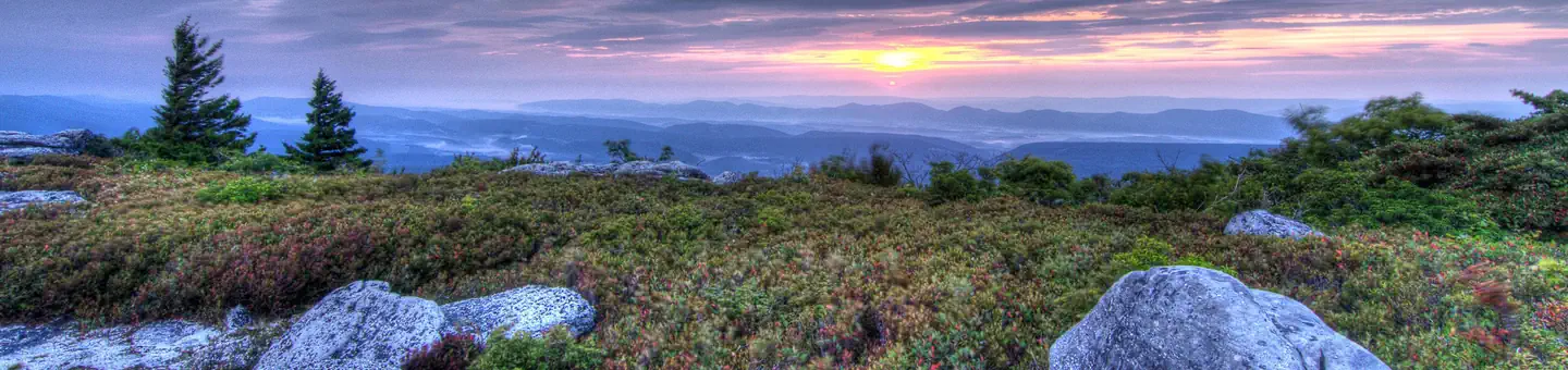 Monongahela National Forest