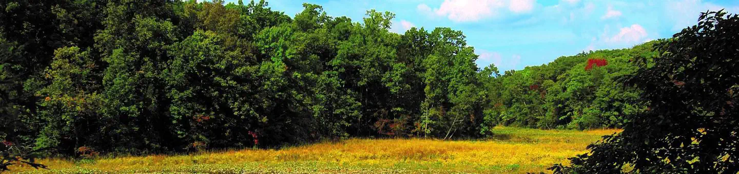Elizabeth Hartwell Mason Neck National Wildlife Refuge