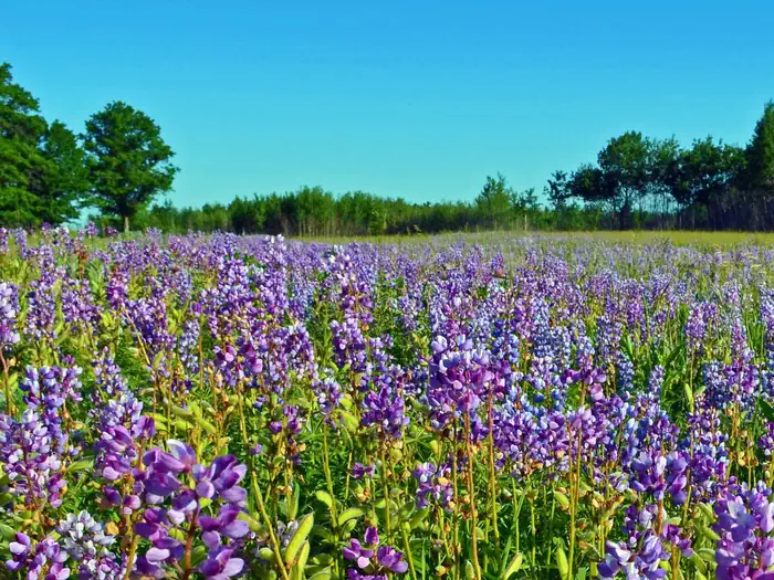 Sherburne National Wildlife Refuge — Sherburne National Wildlife Refuge