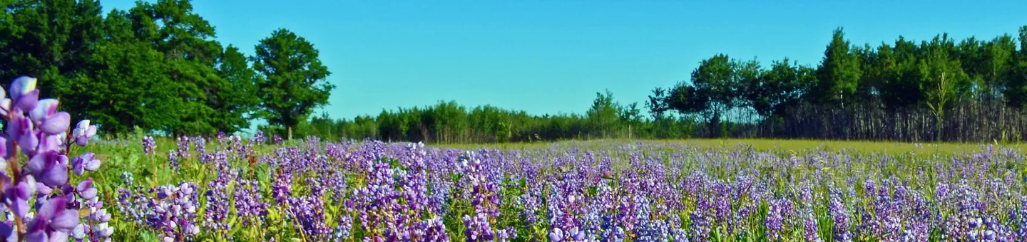 Sherburne National Wildlife Refuge