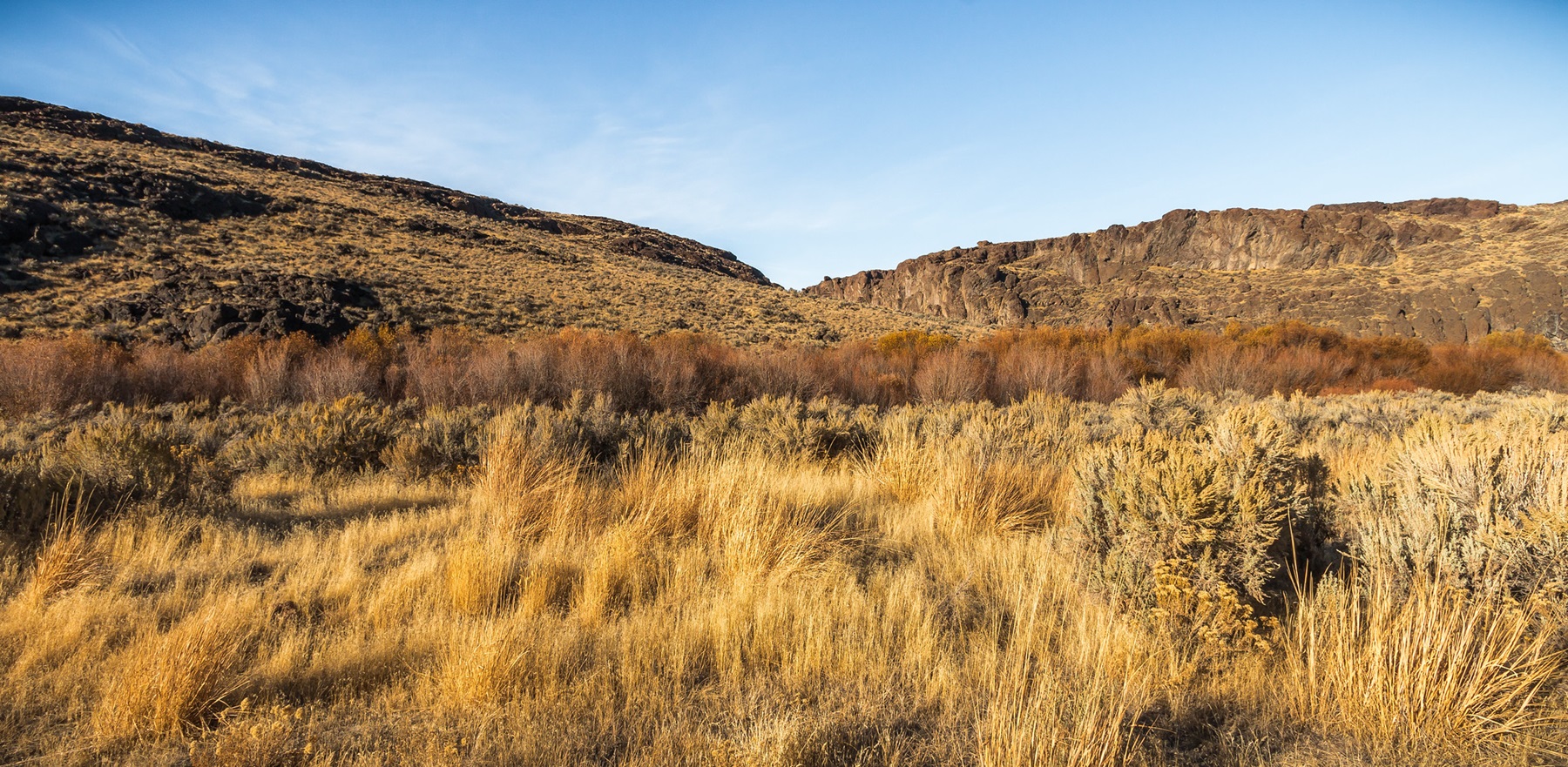 West Little Owyhee Wild and Scenic River — Willows marking the course of the West Little Owyhee River near Anderson Crossing