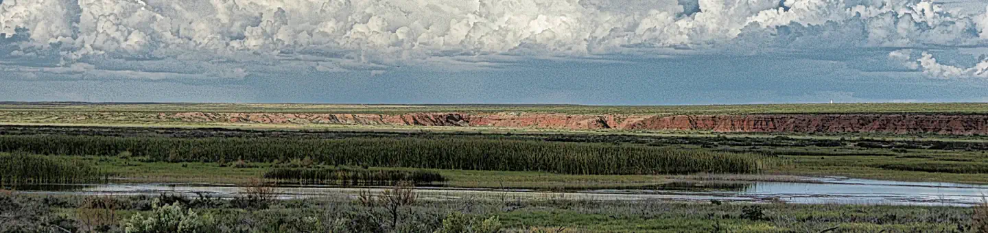 Bitter Lake National Wildlife Refuge