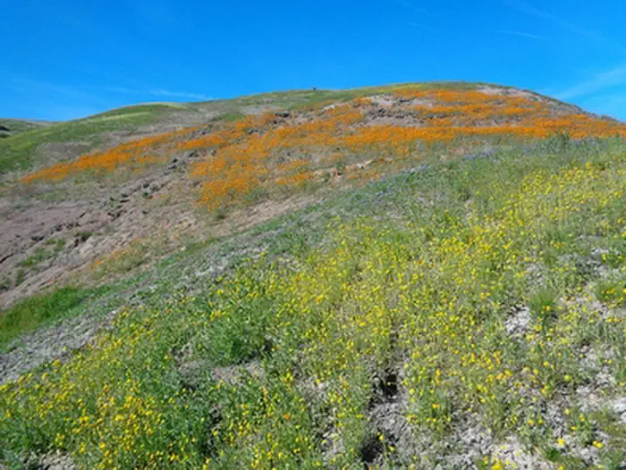 Tumey Hills