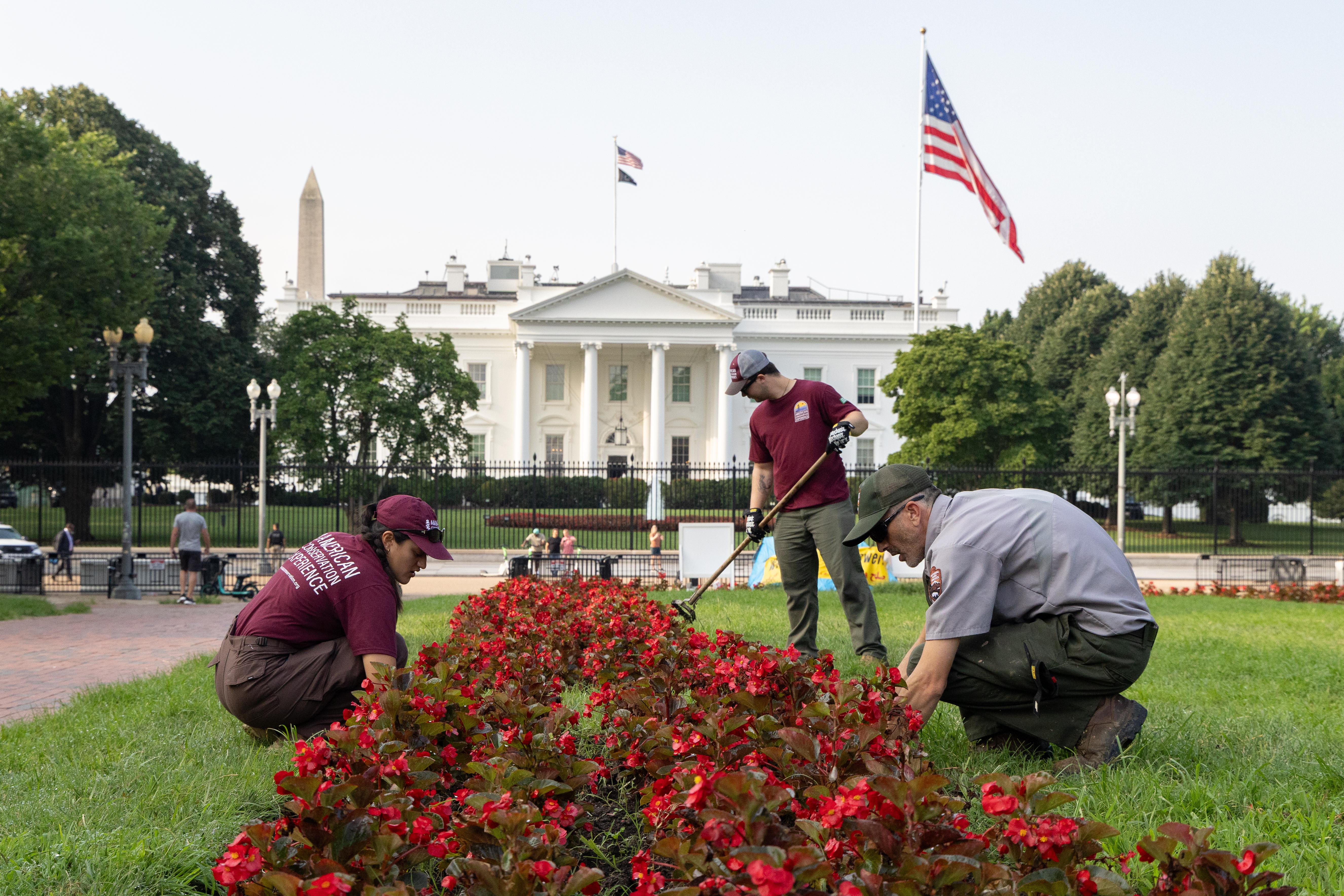 The White House and President's Park — TTAP interns work alongside NPS to maintain Lafayette Park
