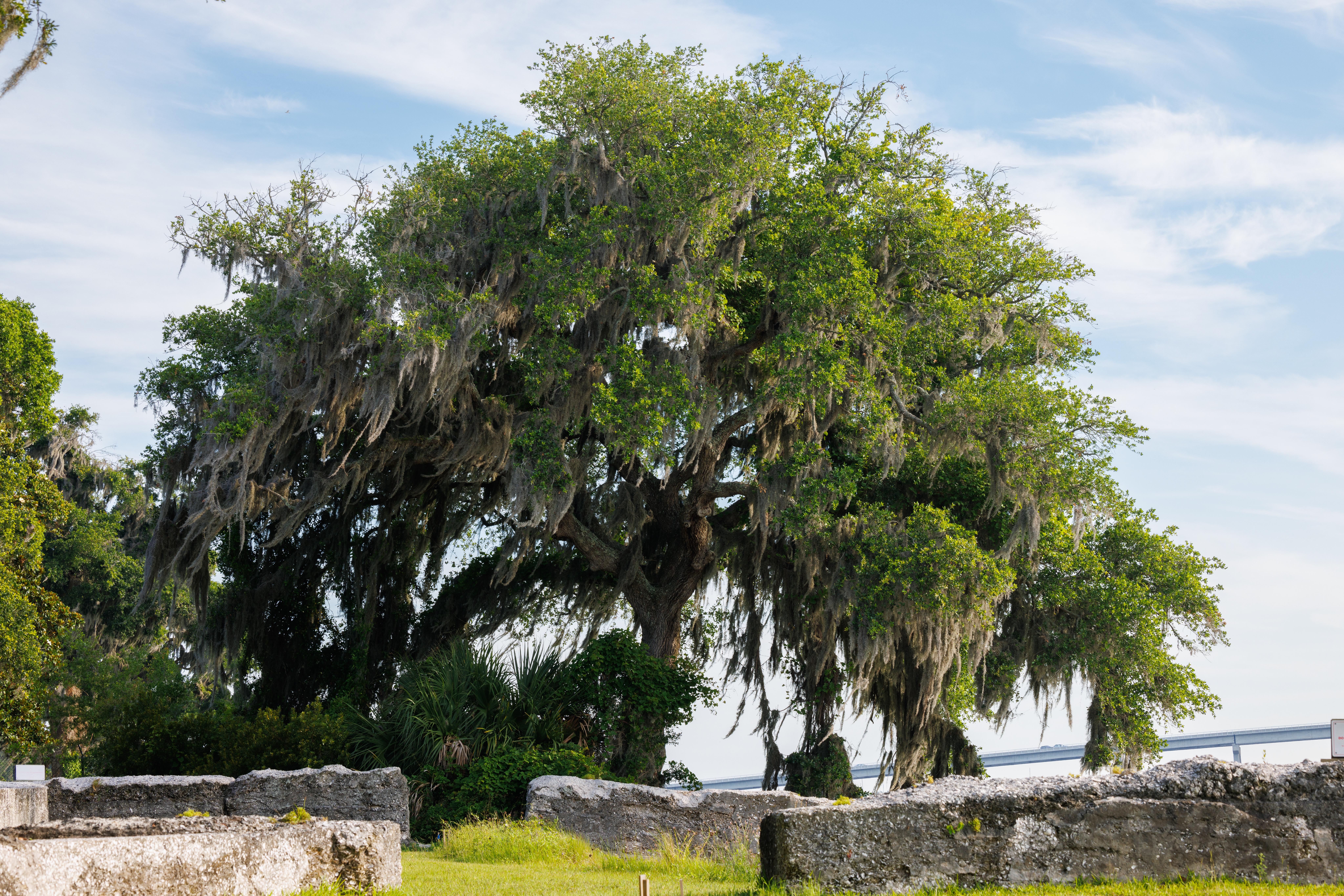 Reconstruction Era National Historical Park — Camp Saxton