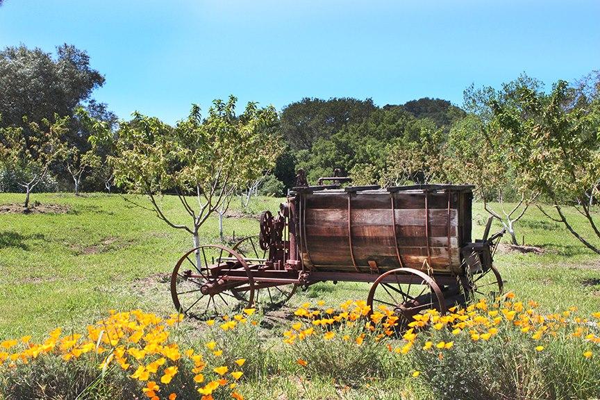 John Muir National Historic Site