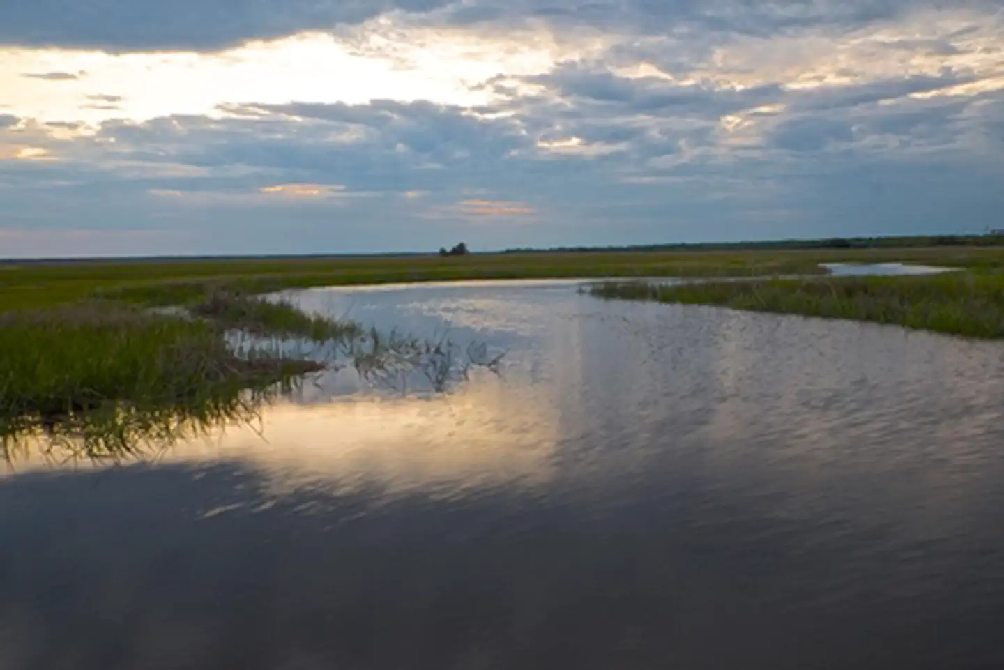 Great Egg Harbor River — Great Egg Harbor River