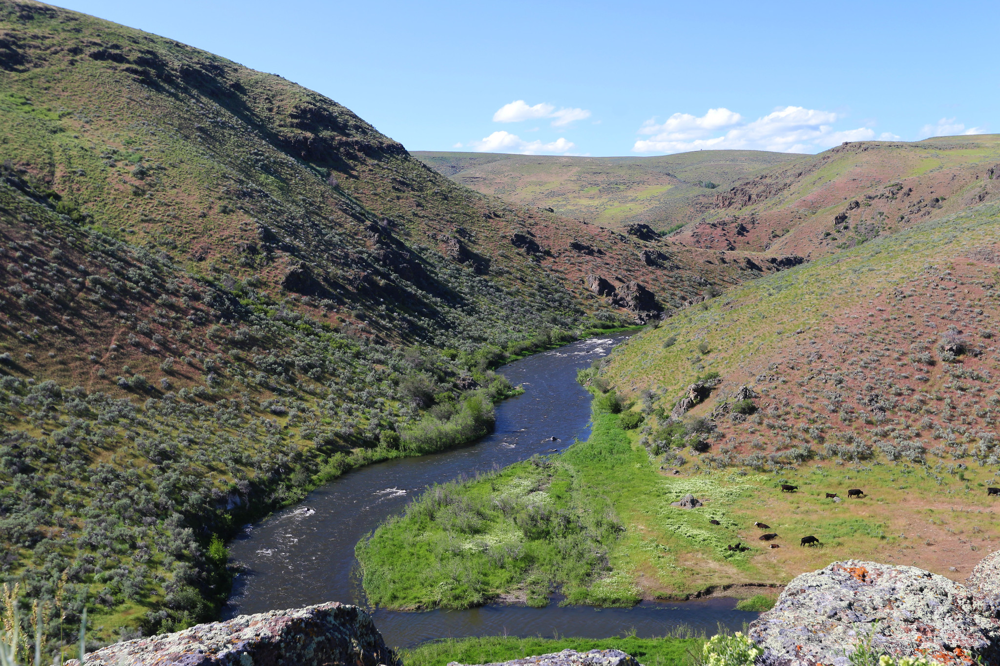 Powder Wild and Scenic River — Powder Wild and Scenic River