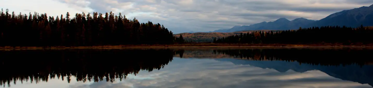 Lolo National Forest