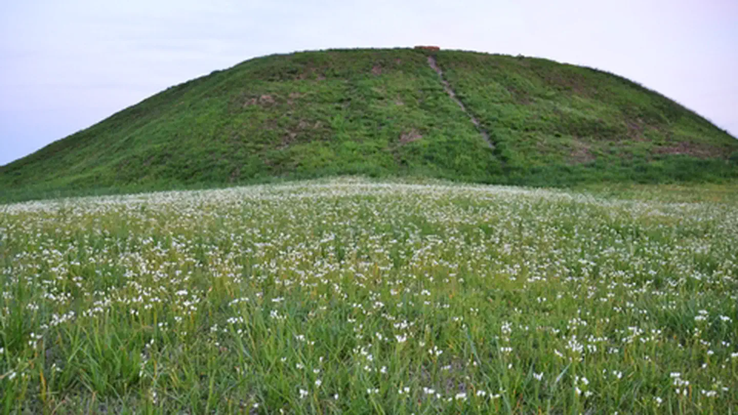 Ocmulgee Mounds National Historical Park — The Funeral Mound