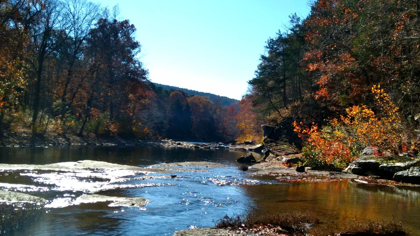 Ozark-St. Francis National Forests