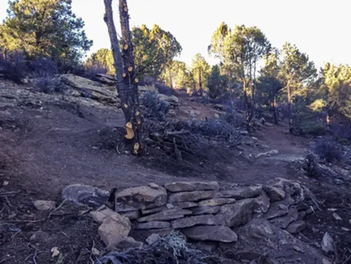 Burn Canyon Trail System — Sparrow Trails