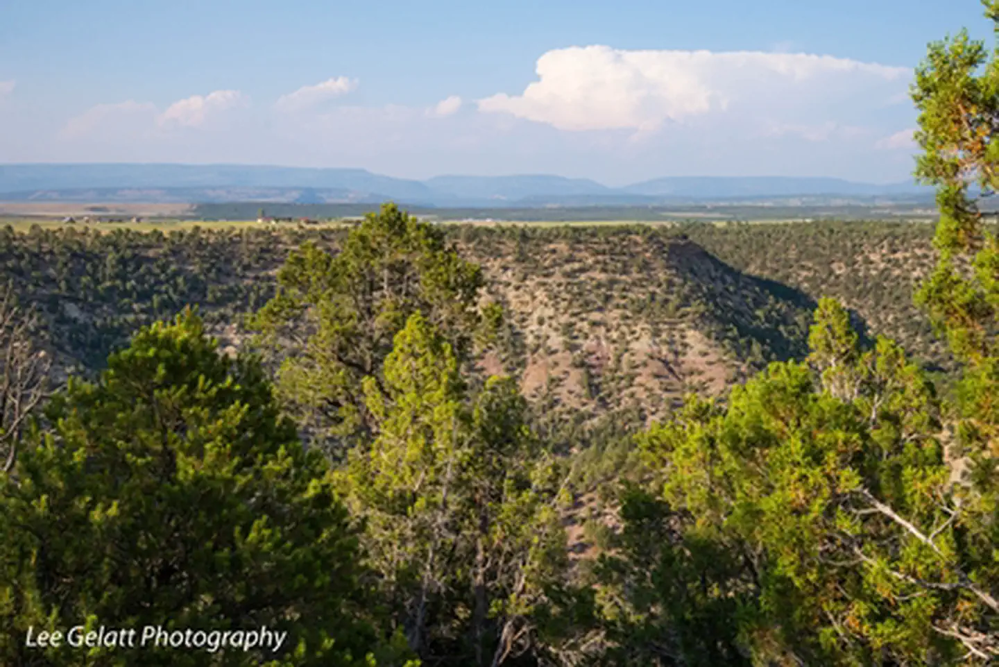 Burn Canyon Trail System — Sparrow Trails