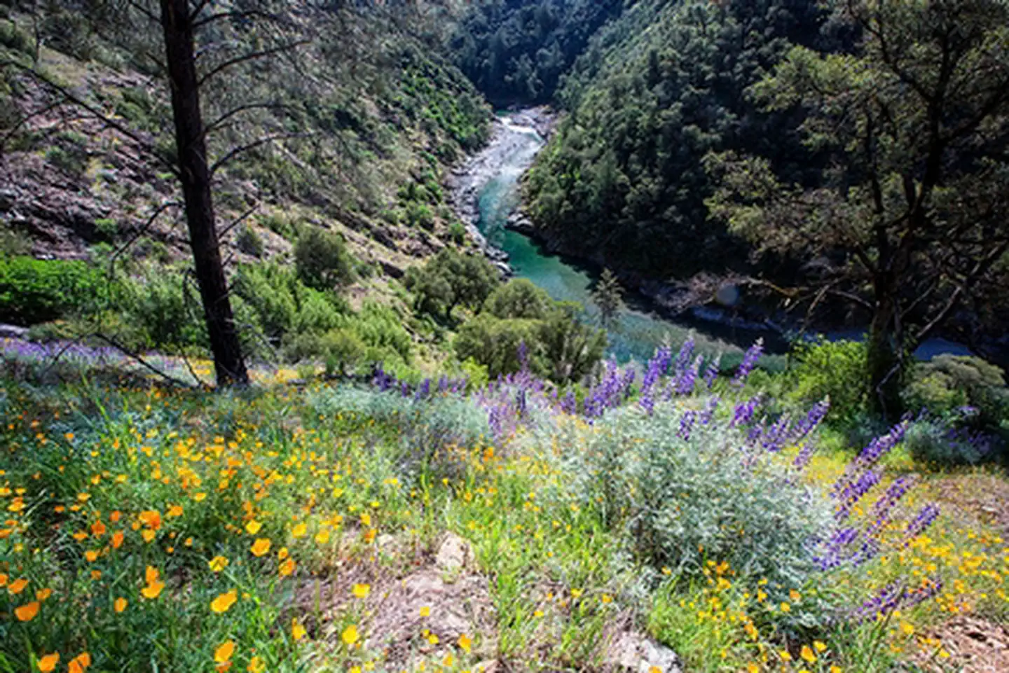 North Fork American River