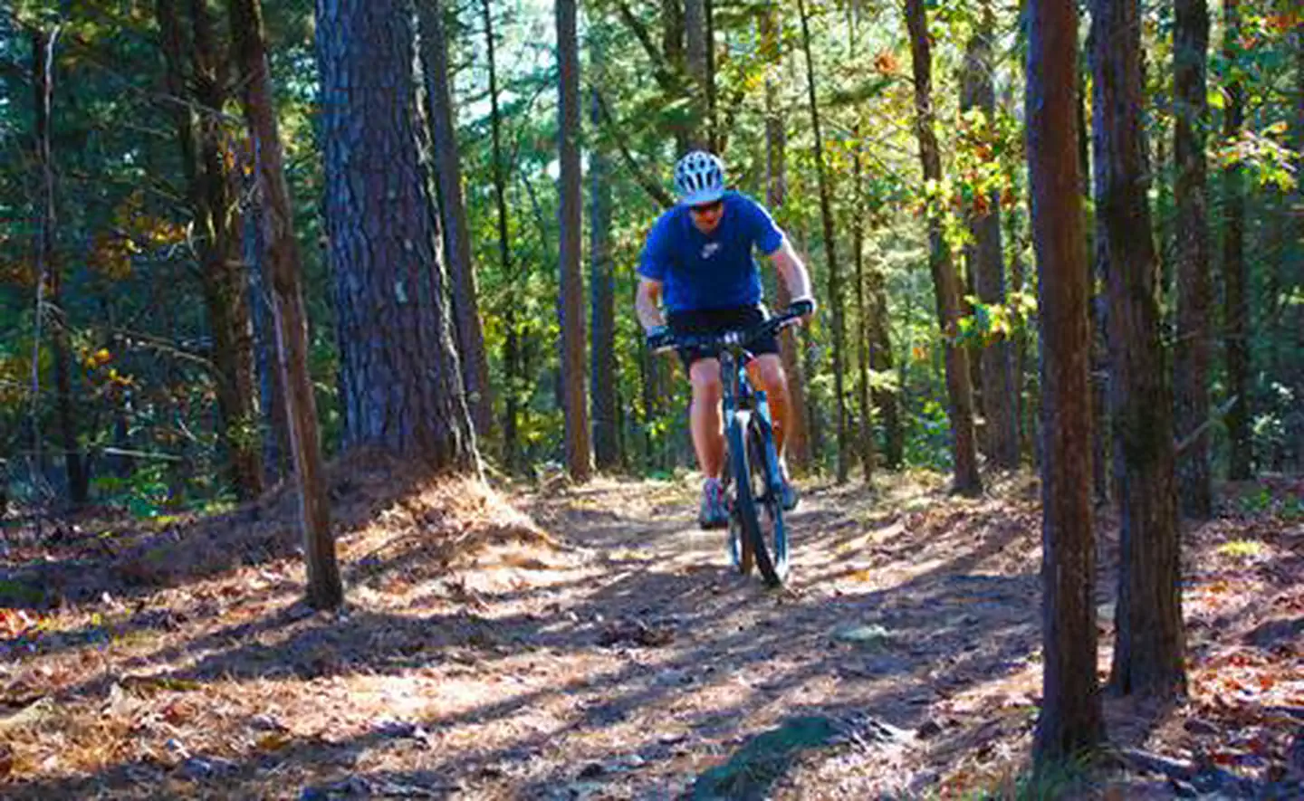 Ozark Lake — mountain biker on a trail 