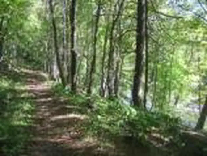 Bluestone National Scenic River